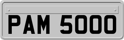 PAM5000