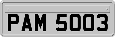 PAM5003