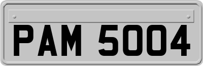 PAM5004