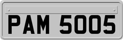 PAM5005