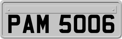PAM5006