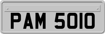 PAM5010