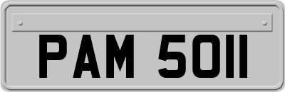 PAM5011