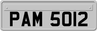 PAM5012