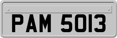 PAM5013