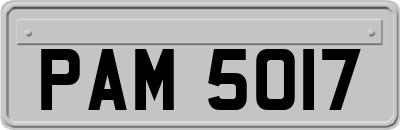 PAM5017