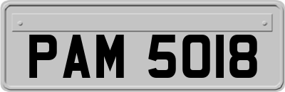 PAM5018