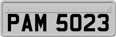 PAM5023