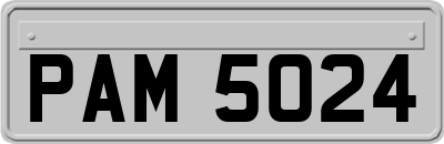 PAM5024