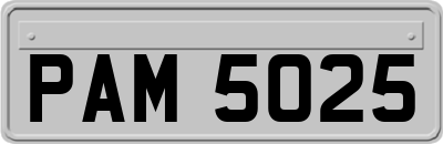 PAM5025