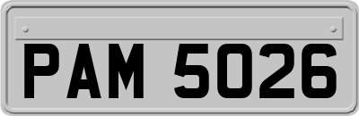 PAM5026