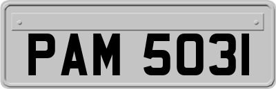 PAM5031
