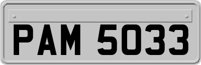 PAM5033
