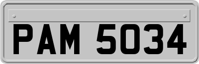 PAM5034