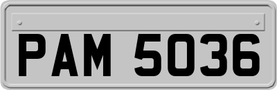 PAM5036
