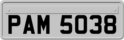 PAM5038