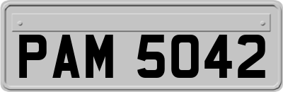 PAM5042