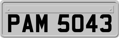 PAM5043