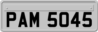 PAM5045