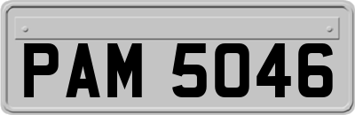 PAM5046