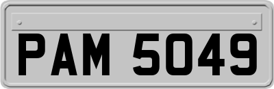 PAM5049