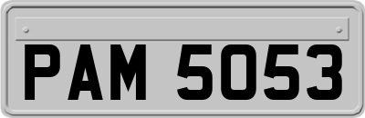 PAM5053