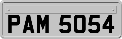 PAM5054