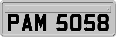 PAM5058