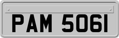 PAM5061