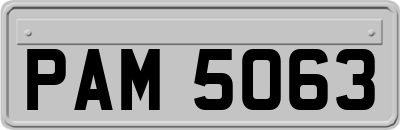 PAM5063