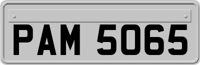 PAM5065