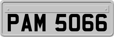 PAM5066