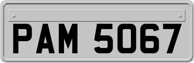 PAM5067