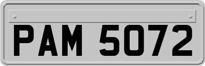 PAM5072