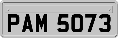 PAM5073