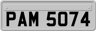 PAM5074