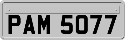 PAM5077