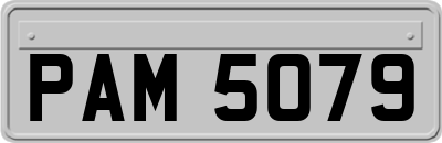 PAM5079