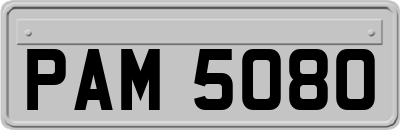 PAM5080