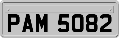 PAM5082