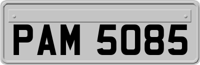 PAM5085