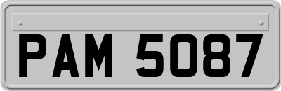 PAM5087