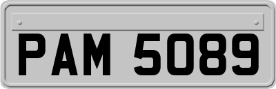 PAM5089