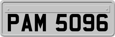 PAM5096