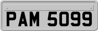 PAM5099