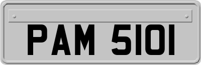 PAM5101