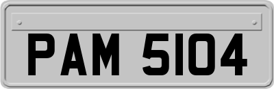 PAM5104