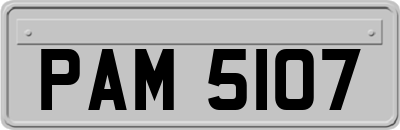 PAM5107