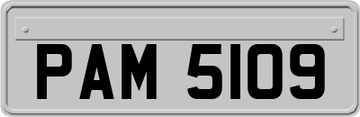 PAM5109