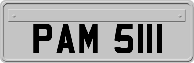PAM5111